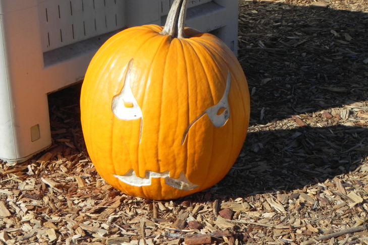 Pumpkin Carving Idea Grump